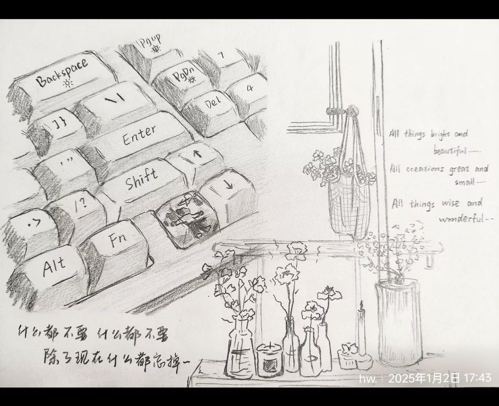我的画